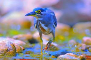 足球波胆是怎么个玩法足球波胆是怎么个玩法