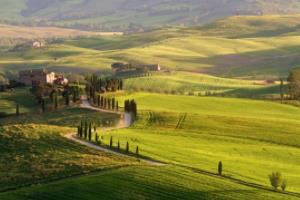 足球赔率计算表,波胆分析与投注技巧足球 波胆 赔率计算表